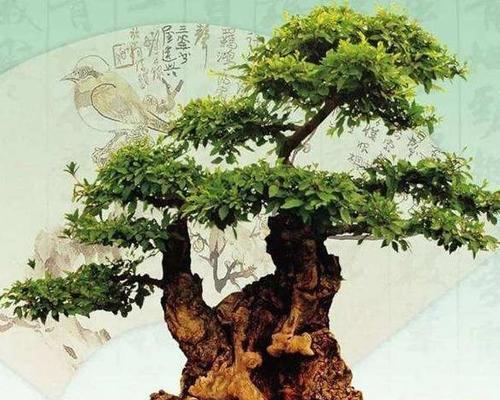 蜉蝣与君子兰共同寓意着什么？