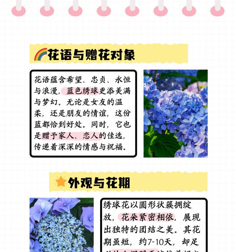 鲜花如意的花语和寓意有哪些？