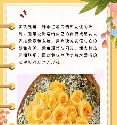 玫瑰花遗憾的花语有何深意？