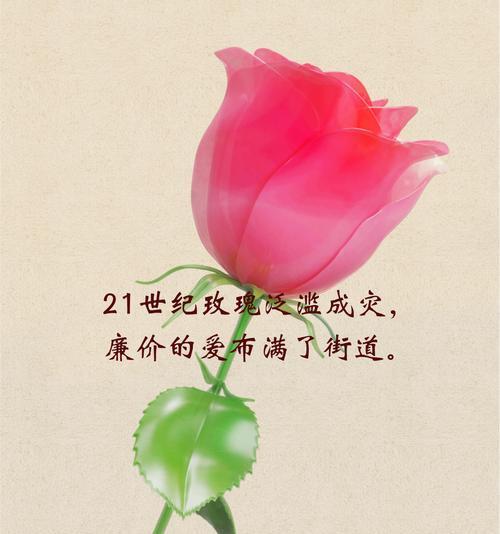 玫瑰花遗憾的花语有何深意？