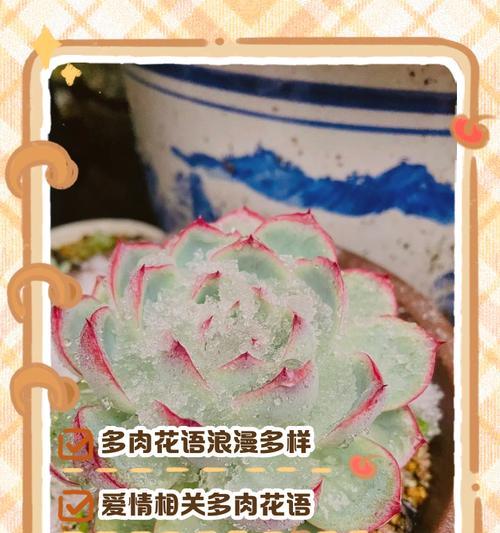 花语中隐藏了哪些秘密？它们各自代表了什么？