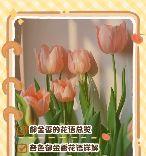 花语中隐藏了哪些秘密？它们各自代表了什么？