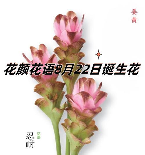 花语中隐藏了哪些秘密？它们各自代表了什么？