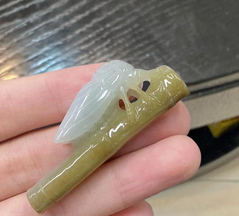 节节高竹的植物学解析与人文意蕴是什么？节节高竹的特点有哪些？