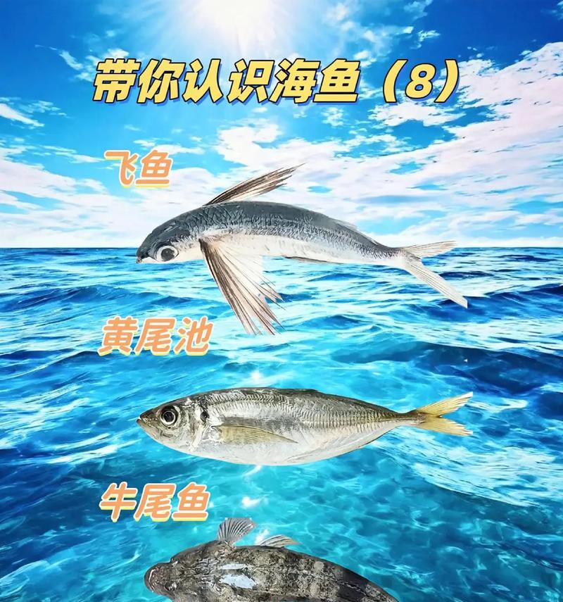 鱼类繁殖方式大？鱼类的繁殖方式有哪些？
