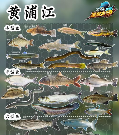 鱼类繁殖方式大？鱼类的繁殖方式有哪些？