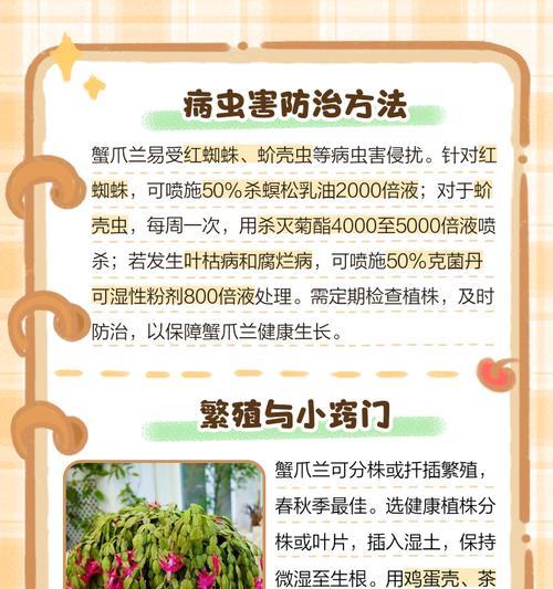 蟹爪兰的养殖方法有哪些？