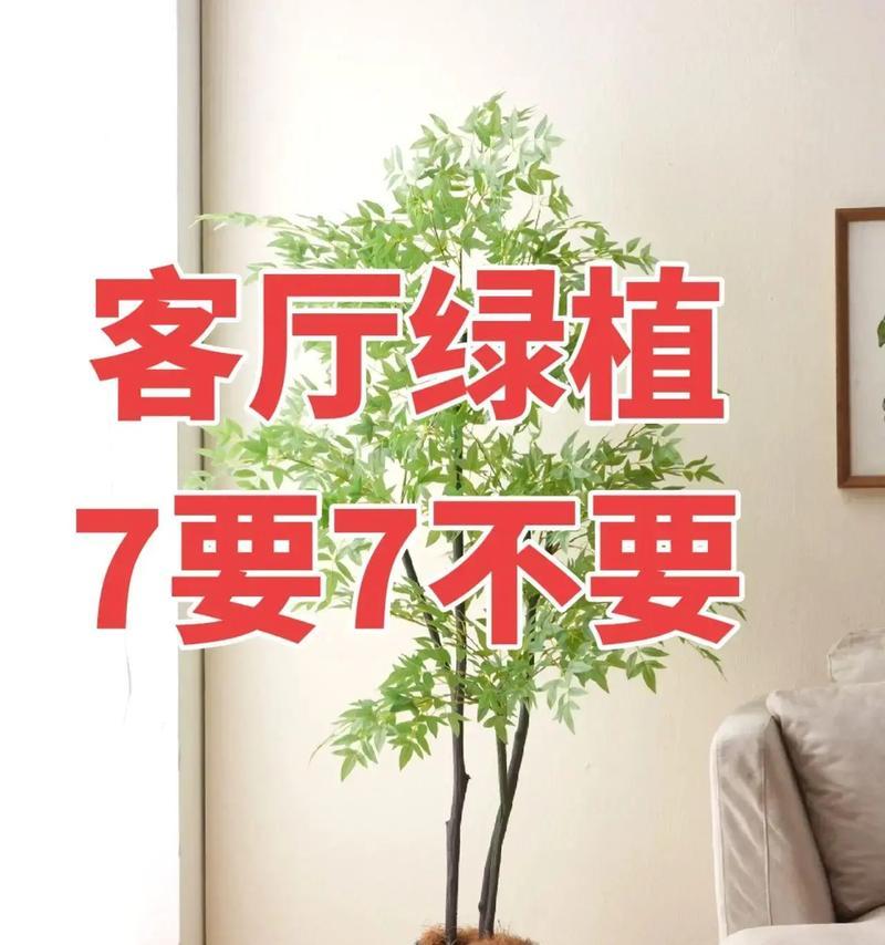 哪些“懒人绿植”适合放在客厅？