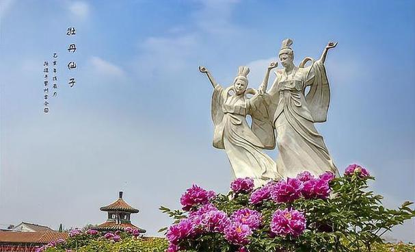 菏泽牡丹如何成为“富民之花”？种植规模与产业创新有何特点？