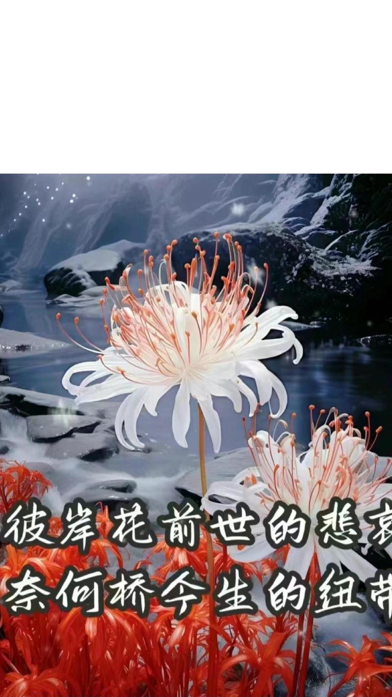 彼岸花有哪些魅力？为何被称为神秘之花？