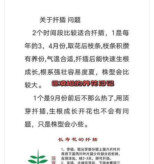 长寿花的养护指南有哪些？