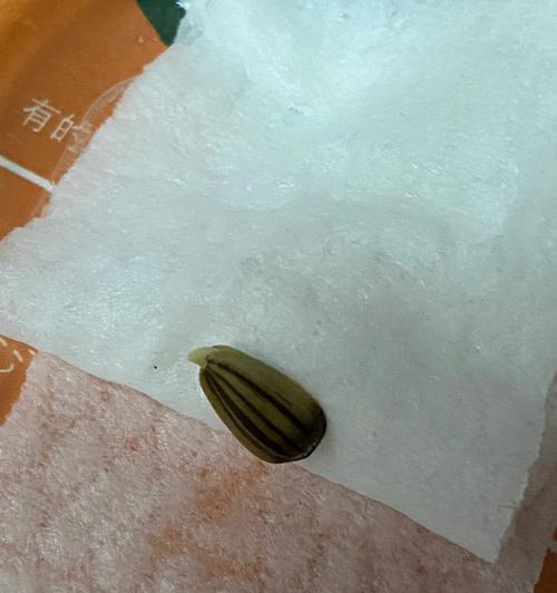 珊瑚种子怎么催芽？最简单的三个步骤告诉你！