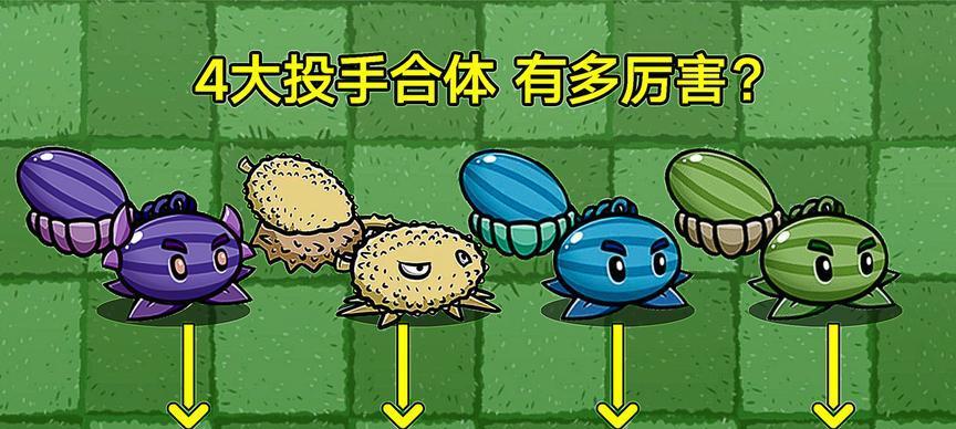 室内如何种植西瓜球仙人掌？