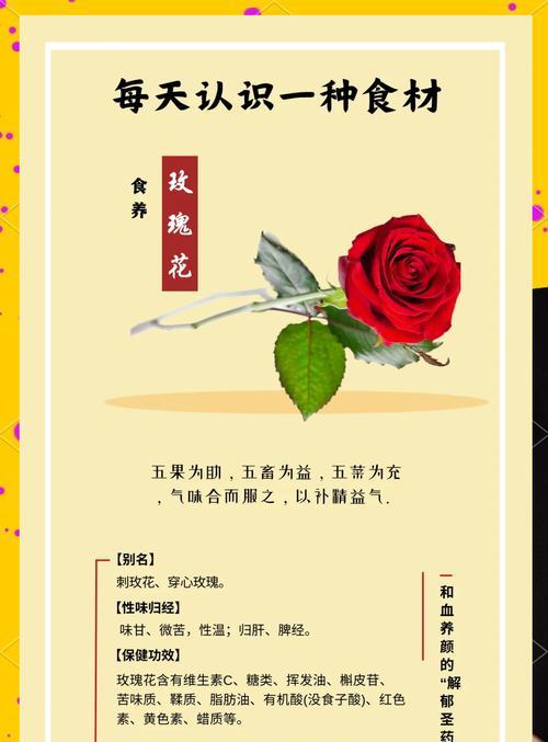 红玫瑰枯萎后开花的原因是什么？