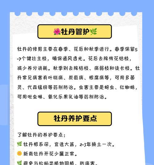 牡丹花冬季室内养护方法是什么？