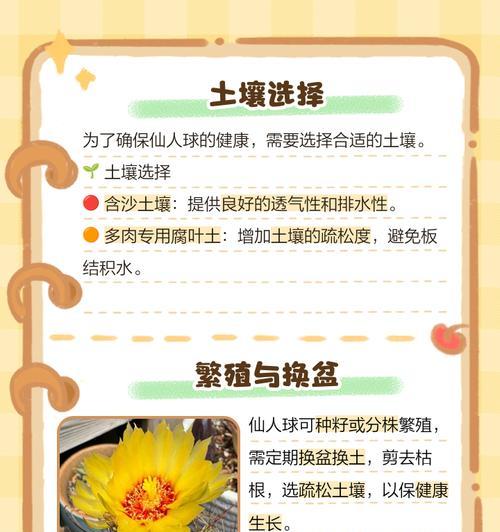 一盆多棵仙人球的美观养护技巧？