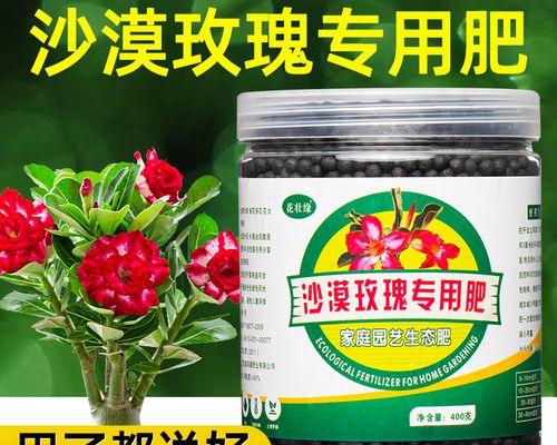 玫瑰花枯萎后的复活方法有哪些？