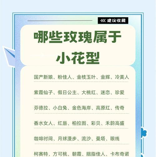 玫瑰花为什么开花越来越小？如何解决？
