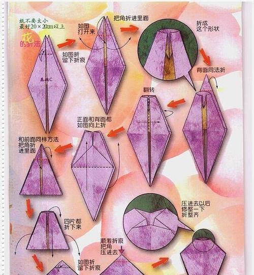 玫瑰花不开花怎么掰？掰花的方法是什么？
