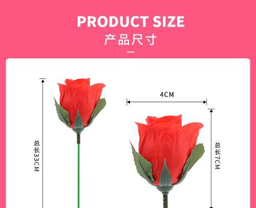 玫瑰花不开花怎么掰？掰花的方法是什么？
