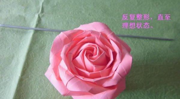 玫瑰花不开花怎么掰？掰花的方法是什么？