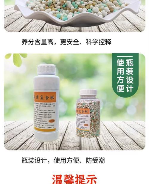 君子兰小片肥料是什么？它对君子兰的生长有何影响？
