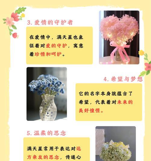 散落满天星的花语代表什么寓意？