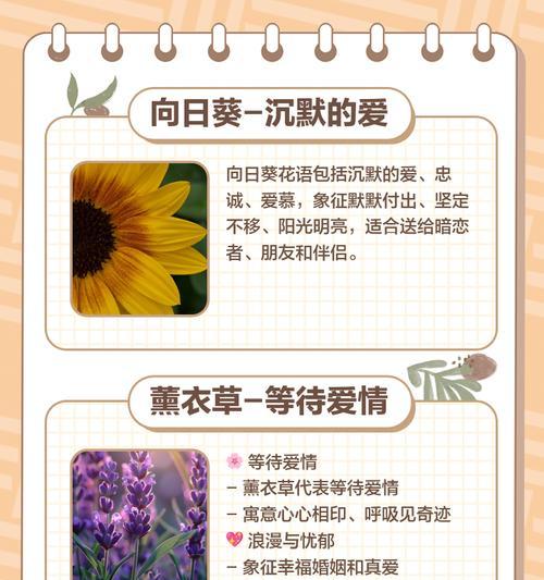 每朵花的花语背后有何意义？