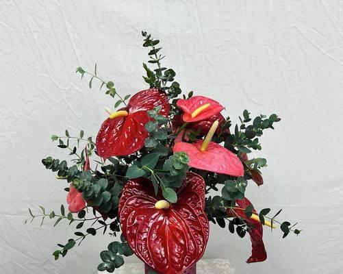 红掌的花语代表什么？有哪些含义？