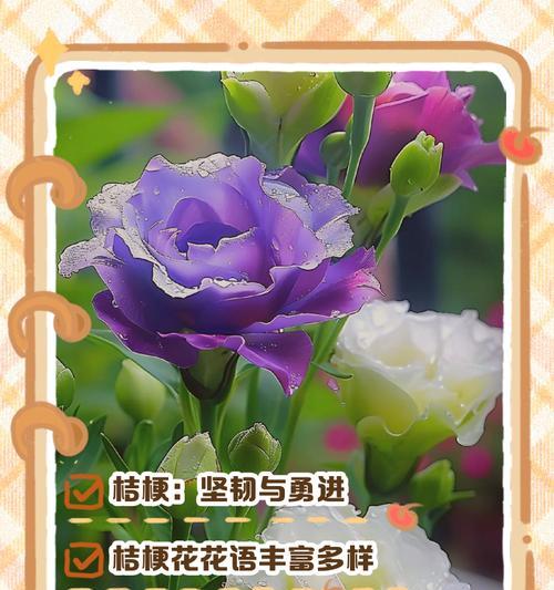 植物的花语和象征有哪些？它们各自代表什么？