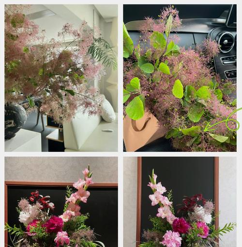 黄栌的花语是什么意思？