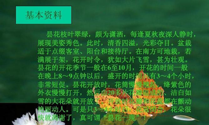 昙花的特征与花语是什么？昙花一现的寓意。