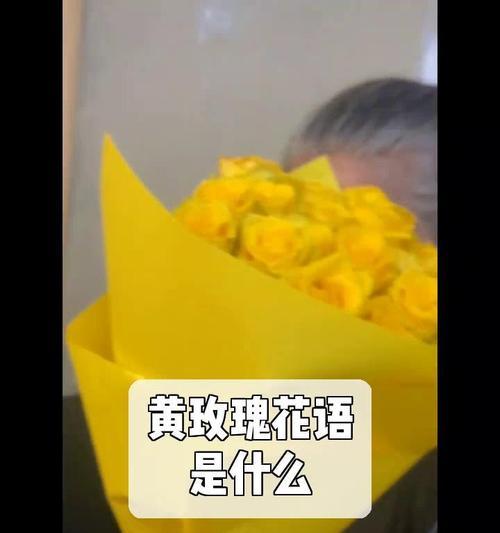 黄玫瑰花语在美国是什么？黄玫瑰在美国的寓意。