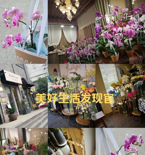兰花的花语是什么？兰花代表了哪些美好寓意？