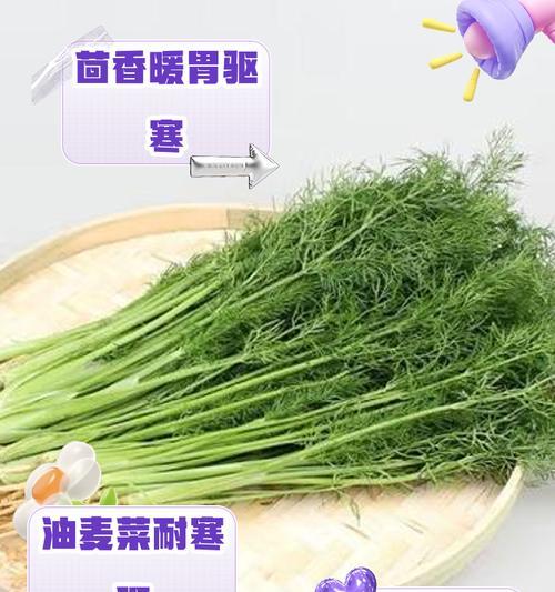 青菜的花语是什么？青菜象征着什么？