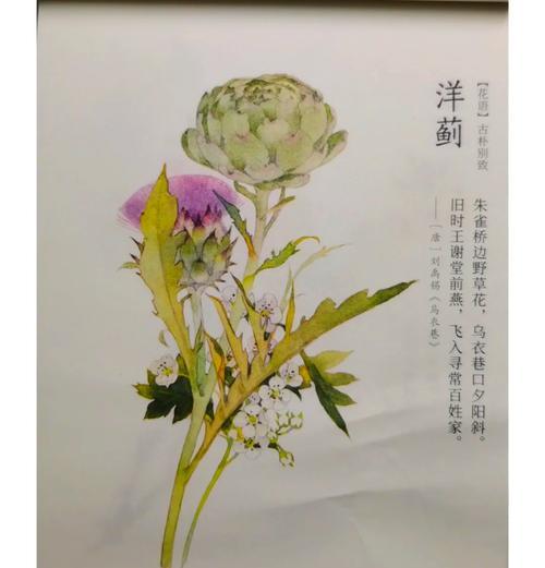 青菜的花语是什么？青菜象征着什么？