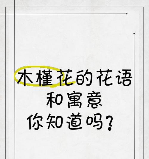 花语与寓意是什么？花语和寓意的区别是什么？