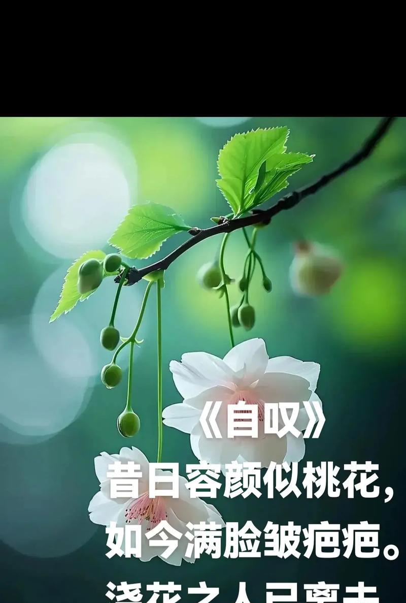遗忘是什么花花语是什么？遗忘之花的寓意是什么？