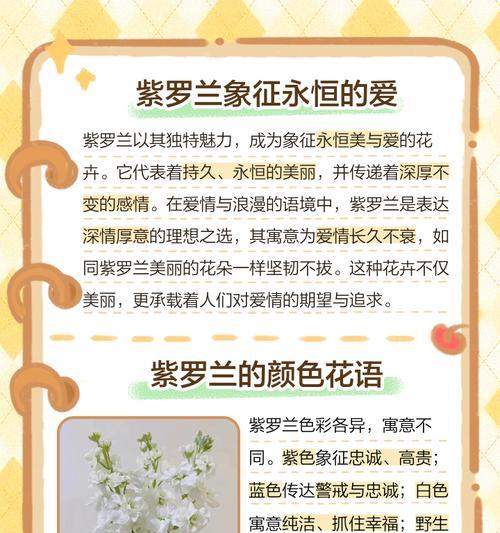 黄色紫罗兰的花语是什么？黄色紫罗兰代表了什么？