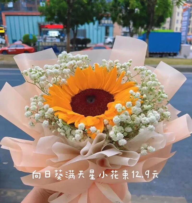 向日花花语是什么？向日花的寓意有哪些？