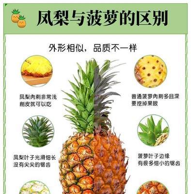 菠萝的花语和含义是什么？菠萝的象征意义是什么？