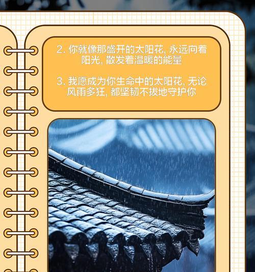 太阳花的花语如何表达？它代表了哪些情感？