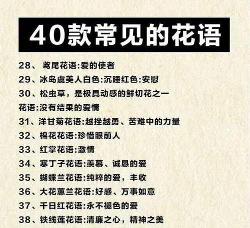 常青藤的花语是希望吗？它还有哪些其他含义？