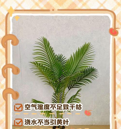 散尾葵的花语是什么？它背后有哪些传说故事？