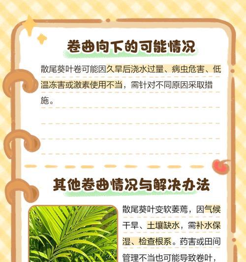 散尾葵的花语是什么？它背后有哪些传说故事？