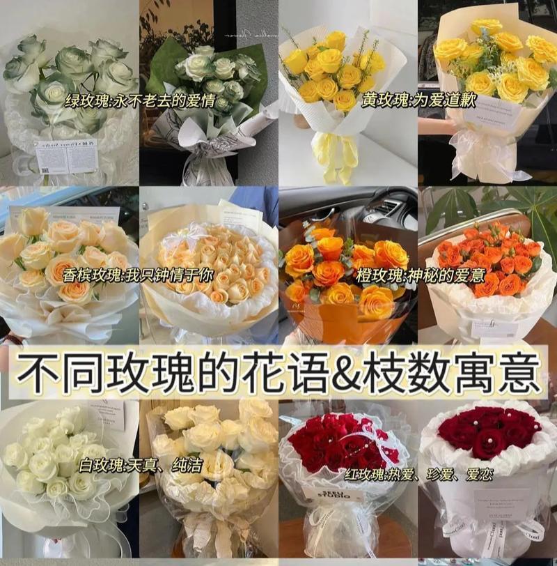 不同颜色玫瑰的花语分别是什么？它们各自代表什么？