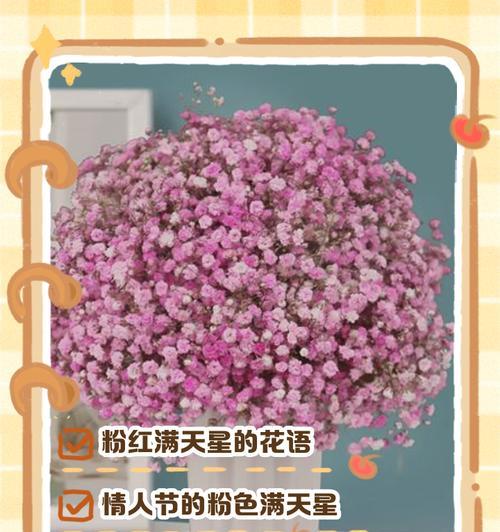 满天星的花语520是什么意思？它如何表达爱意？