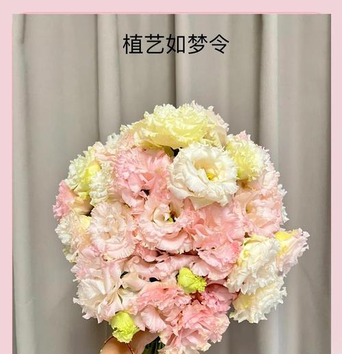 洋桔梗粉色的花语是什么？它代表了哪些情感？