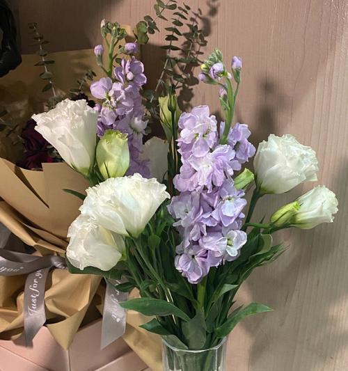 红羽双线竹芋的花语是什么？