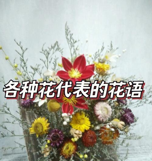 什么花的花语代表好运和幸福？